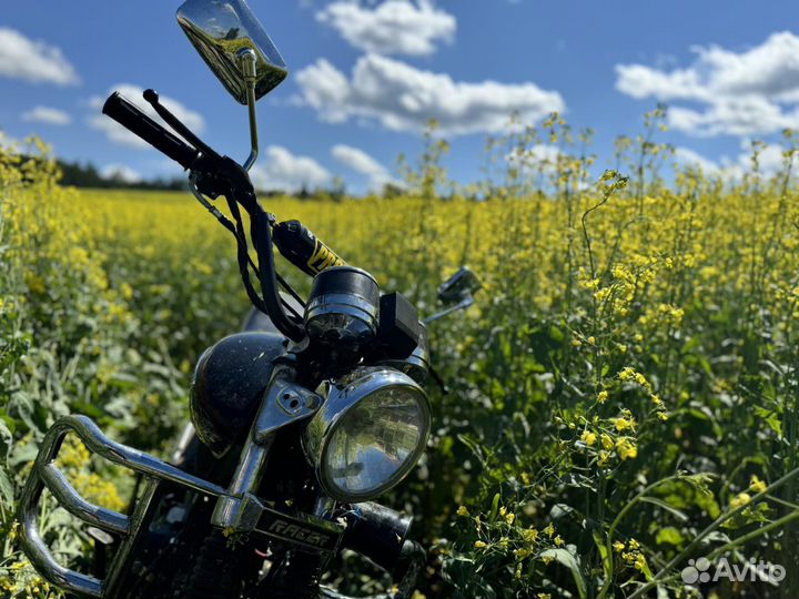 Продам альфу Рейсер, возможен обмен