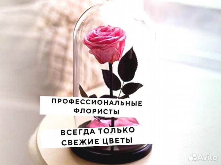 Роза в колбе