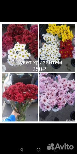 Букеты из хризантем
