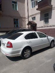 Skoda Octavia: фото владельца