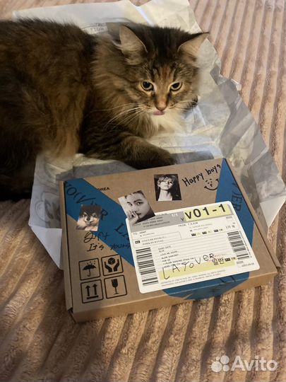 Альбом V Layover (blue ver.)