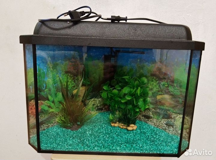 Аквариум