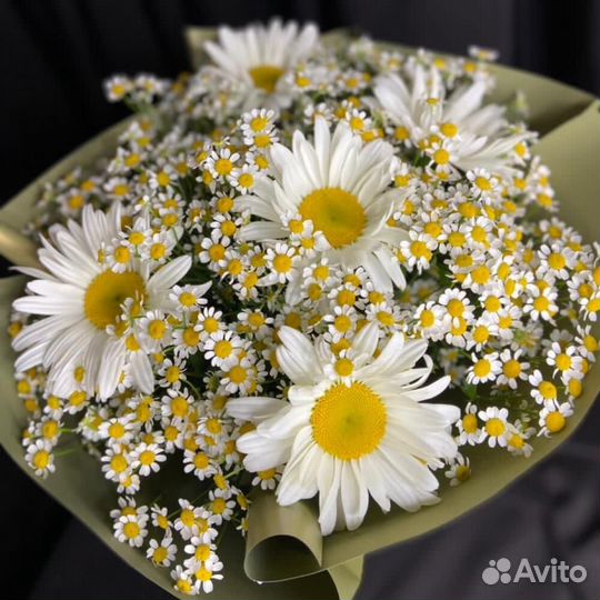 Цветы ромашки. Букеты ромашек. Ромашки. Цветы