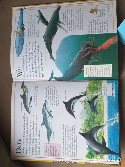 Книги на немецком языке для детей