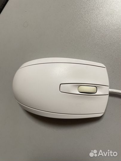 Компьютерная мышь