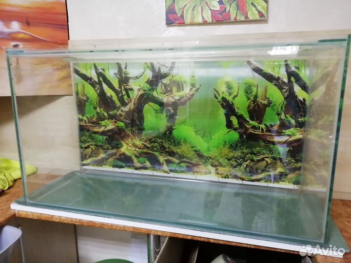 Аквариум