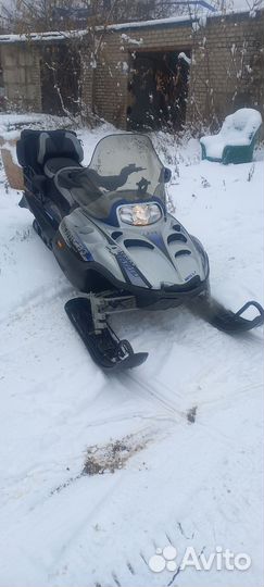 Arctic cat bear cat