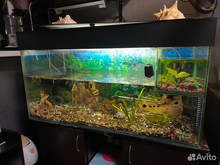 Аквариум с тумбой