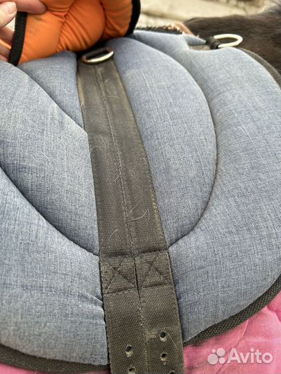 Пад для лошади