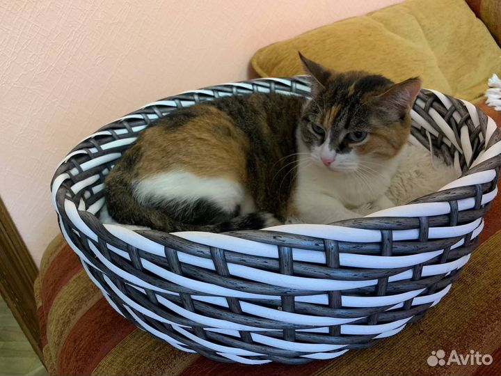 Лежанка для домашних животных