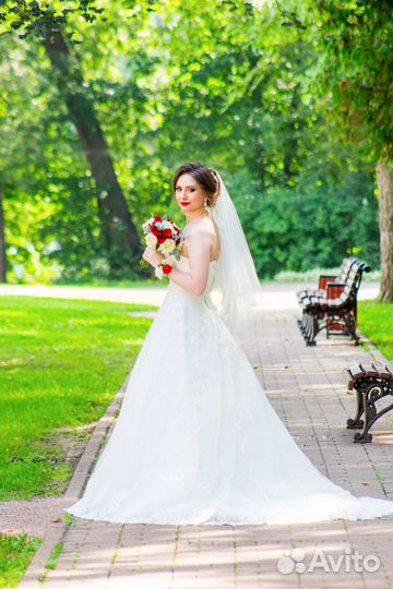 Фотограф и видеограф