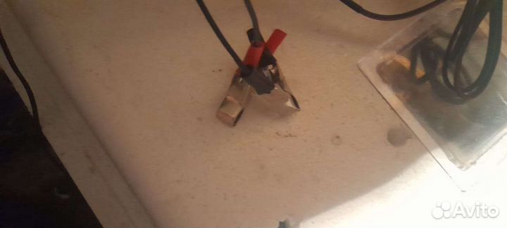 Инкубатор для яиц