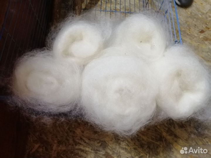 Прочешу козий, овечью и собачью шерсть кардочес