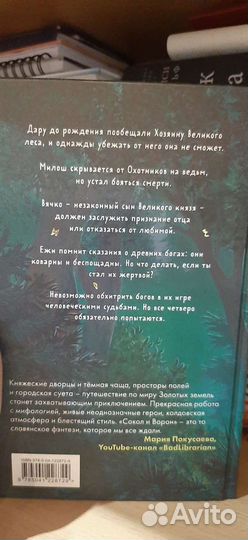 Сокол и ворон