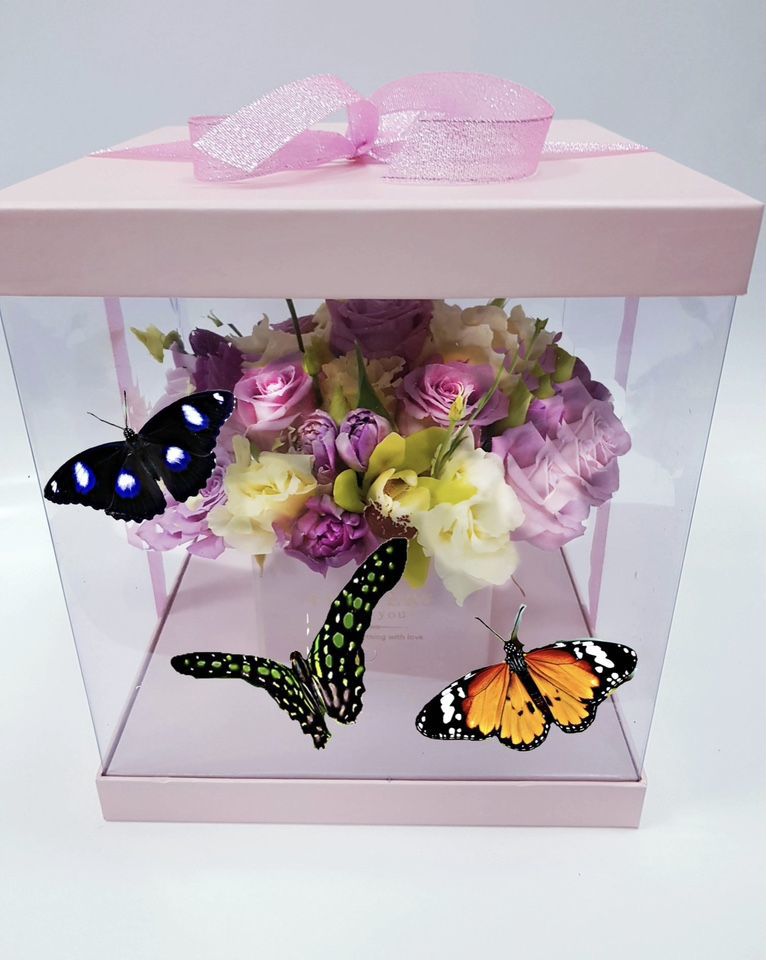 Букет из бабочек. Букет с крыльями бабочки. Букет с крыльями бабочки. Оригинальный букет из бабочек. Необычные букеты из бабочек.