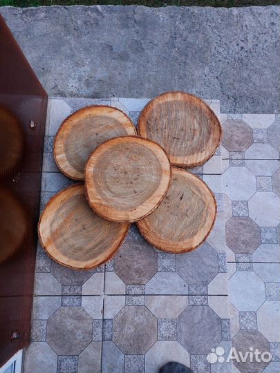 Спилы дерева для decor
