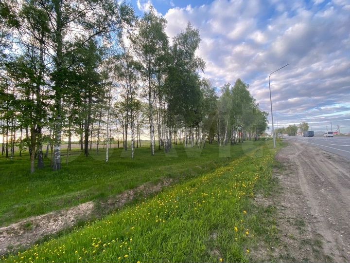 Участок 1,04 га (личное подсобное хозяйство (лпх))