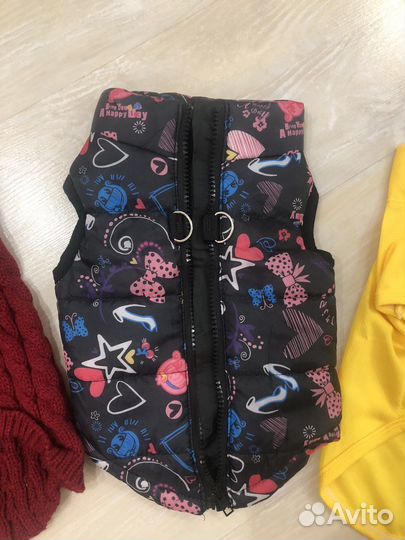 Одежда для маленьких собак