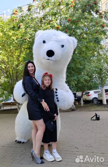 Белый мишка поздравление