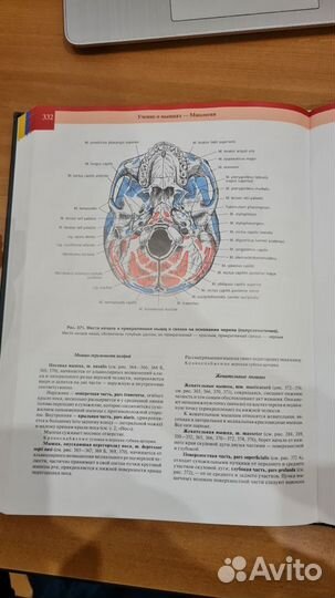 Атлас анатомии человека том 1 Р. Д. Синельников