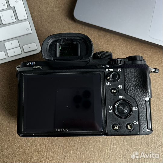 Sony a7s2/a7sii