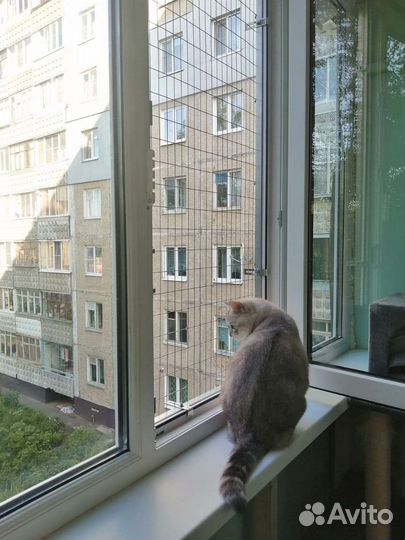 Решетка 