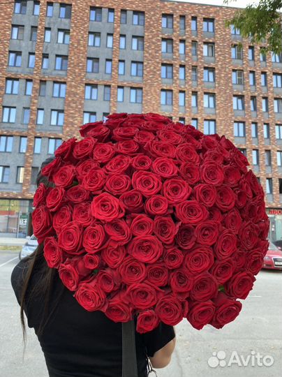 101 красная Роза