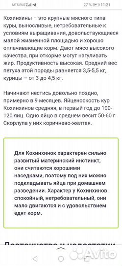 Яйца на инкубацию