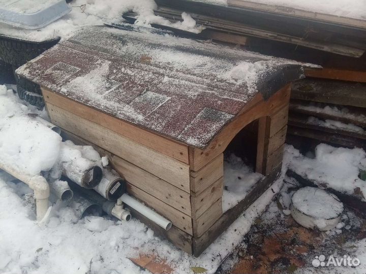 Собачья конура