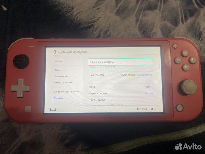 Nintendo switch lite не прошитая