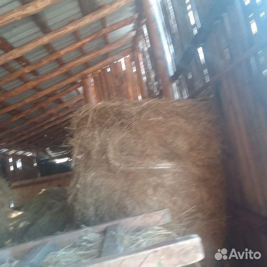 Сено в тюках