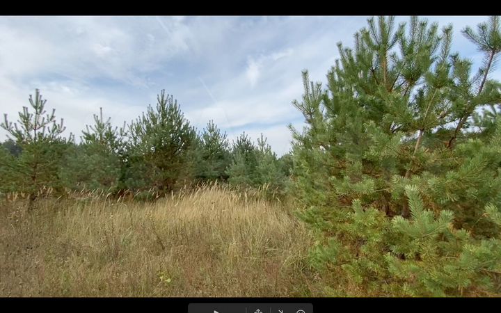 Участок 1,2 га (СНТ, ДНП)