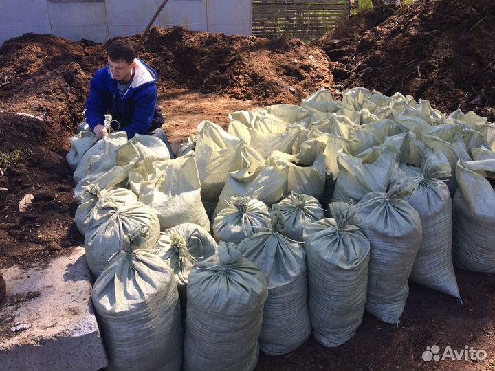 Перегной коровяк