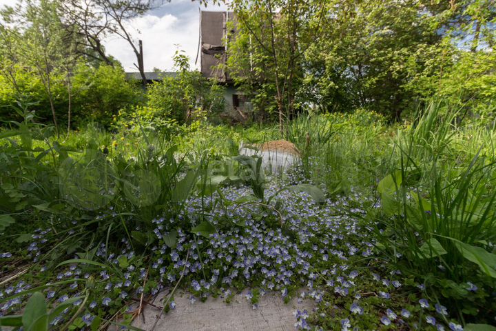 Участок 5,4 сот. (СНТ, ДНП)