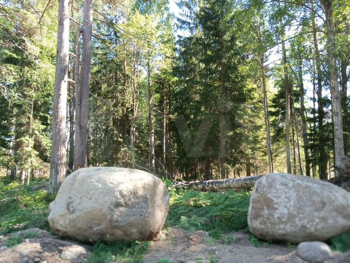 Дом 58 м² на участке 12,5 сот.