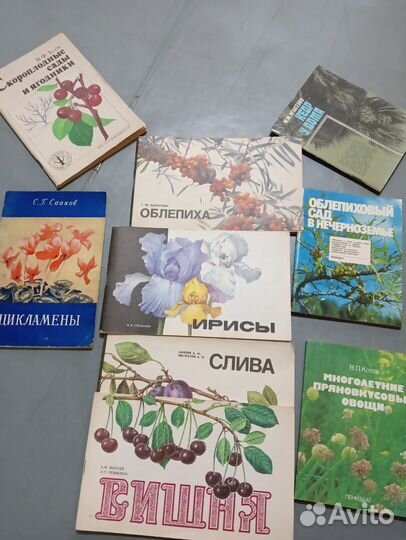 Книги пакетом