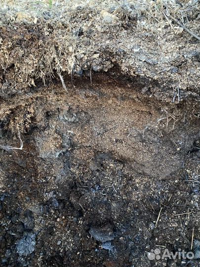 Конский навоз (перегной)