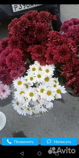 Букеты из хризантем