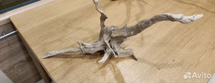 Коряги для аквариума