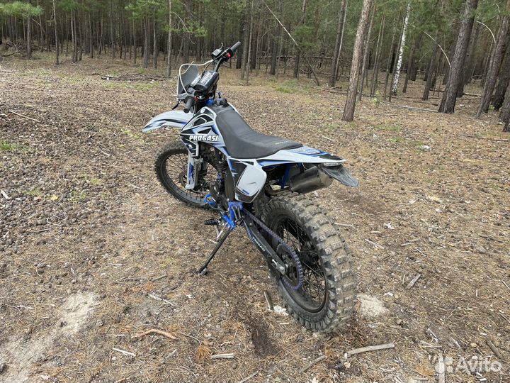 Progasi Palma 250 SE