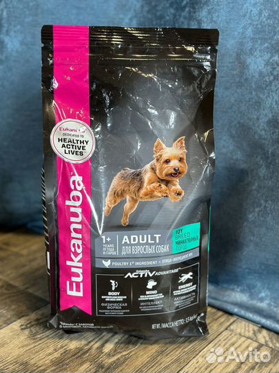 Корм для собак