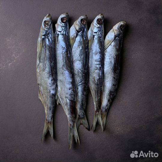 Вяленая рыба чехонь