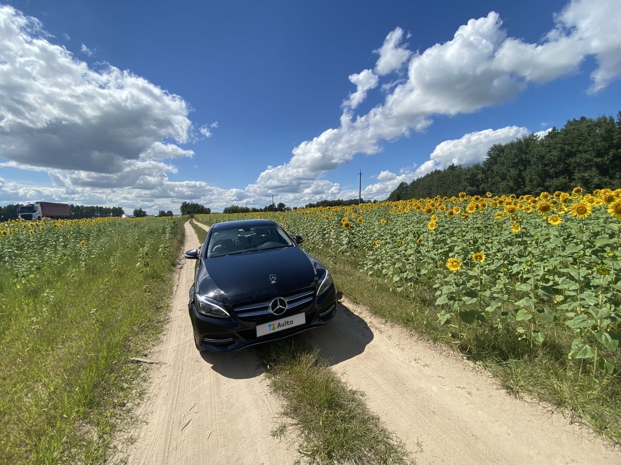 Mercedes-Benz C-класс: фото владельца