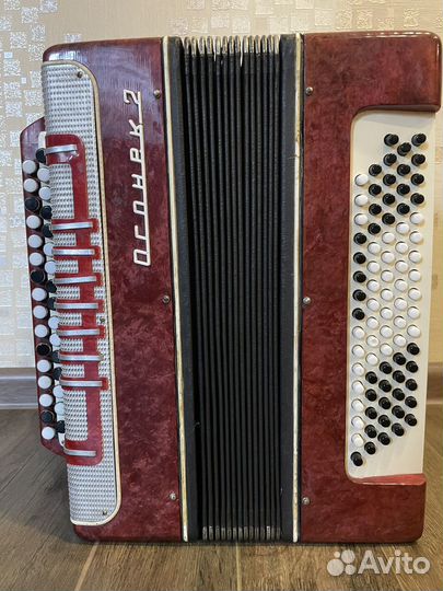 Баян Огонек 2