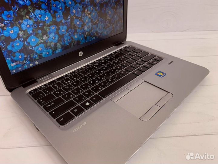 HP EliteBook 725 12 дюймов 8gb Ноутбук для работы