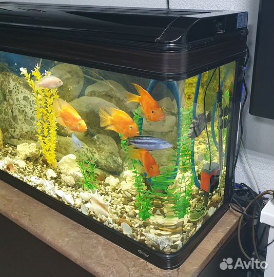 Аквариум с тумбой 300 литров