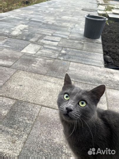 Тротуарная плитка Propress с гарантией от 120 м2