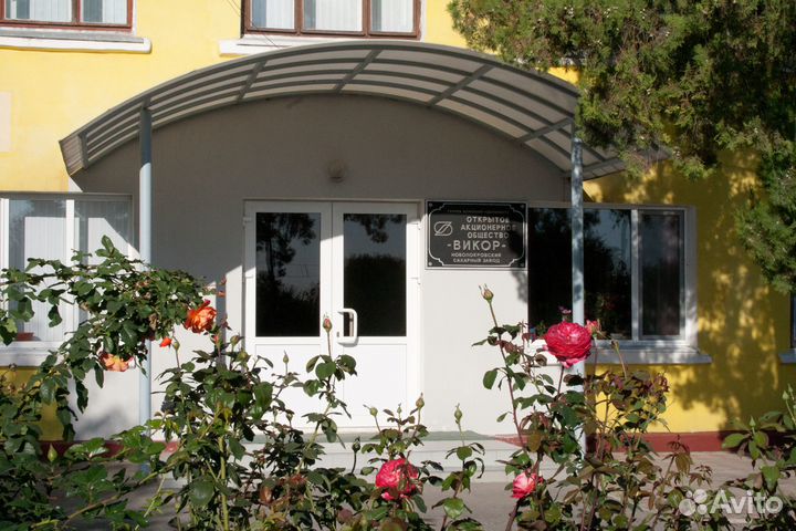 Водитель на легковой автомобиль