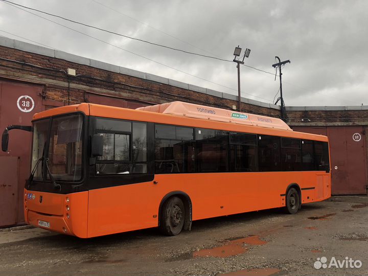 Водитель автобуса