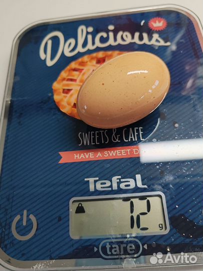 Яйцо куриное столовое